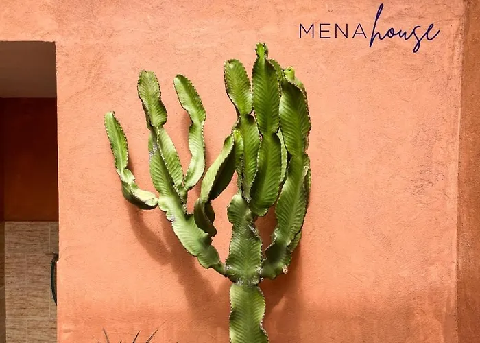 Mena House Σπίτι διακοπών Κοραλέχο