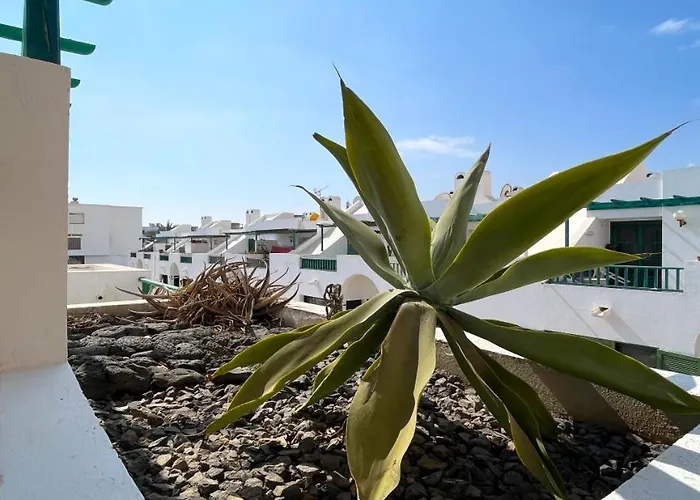 度假居 Mena House 科拉雷侯